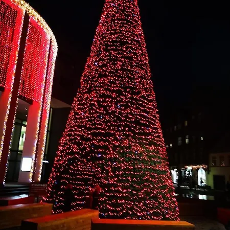 Hos Ornbol *
